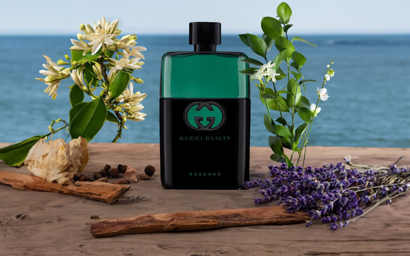 گوچی گیلتی بلک