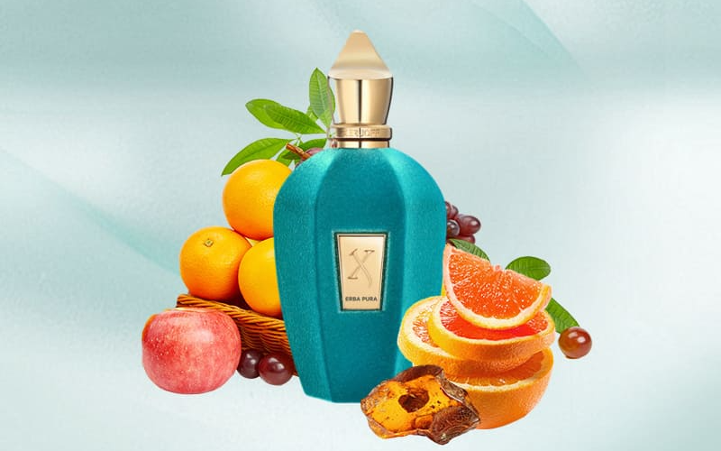 ارباپورا زرجف