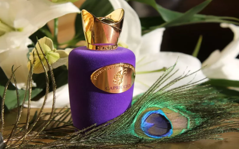 اکسنتو زرجف