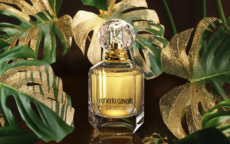 روبرتو کاوالی پارادیسو