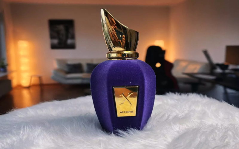 اکسنتو زرجف