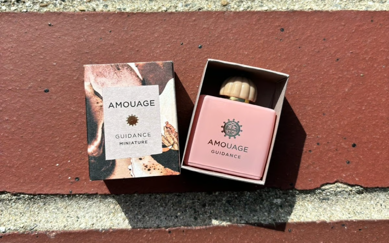 آمواج گایدنس