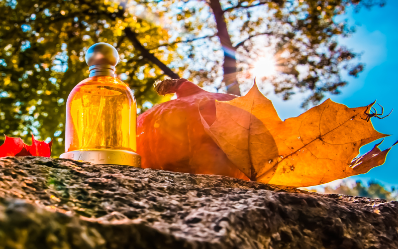 عطر مردانه پاییزی